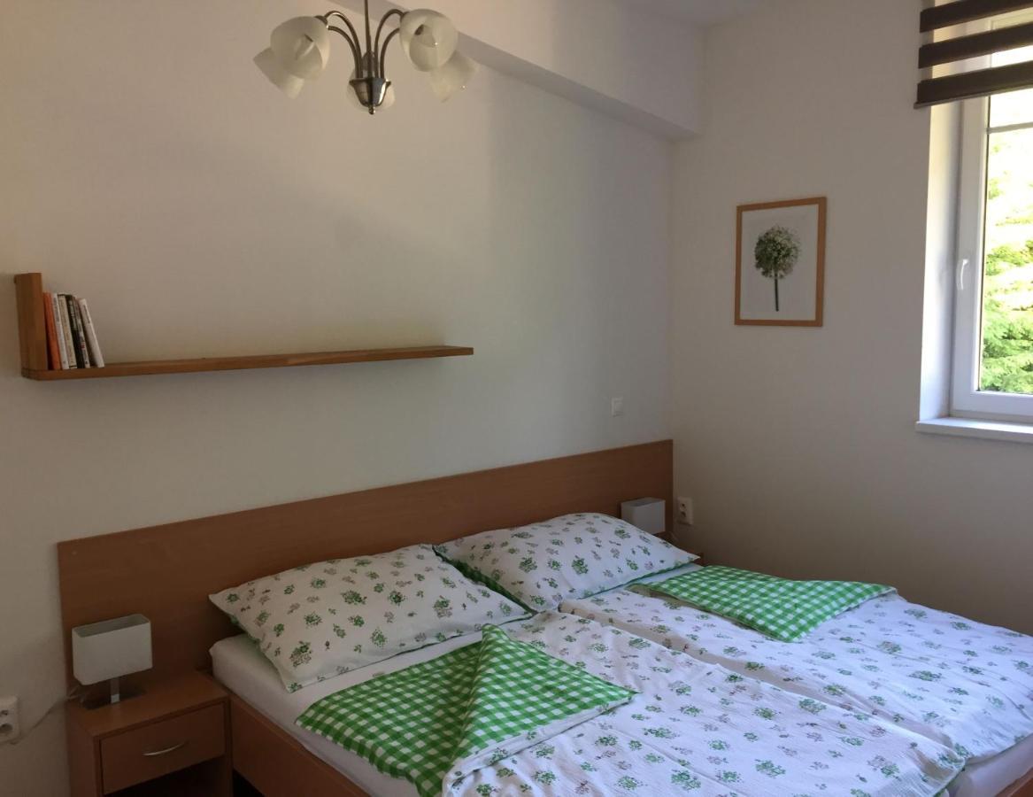 Apartman U Sjezdovky Velké Karlovice Kültér fotó
